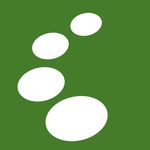 Paragon Bamboo discount code
